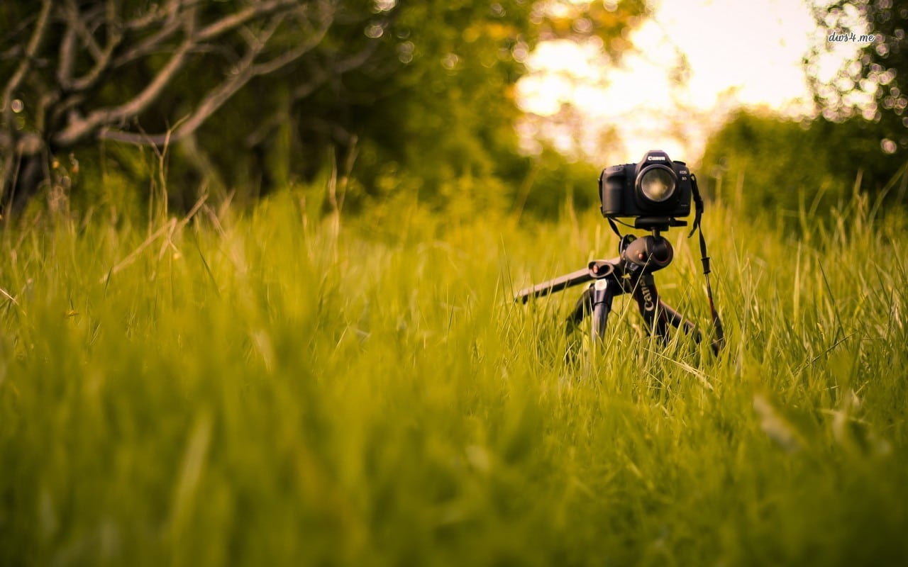 16576-canon-camera-in-the-grass-1280x800-photography-wallpaper